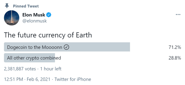 麝香疯狂平台，狗钱暴涨10倍，168万人跟着“疯狂”4