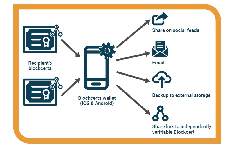 资本噱头还是未来趋势？“区块链+教育”国际扫描3