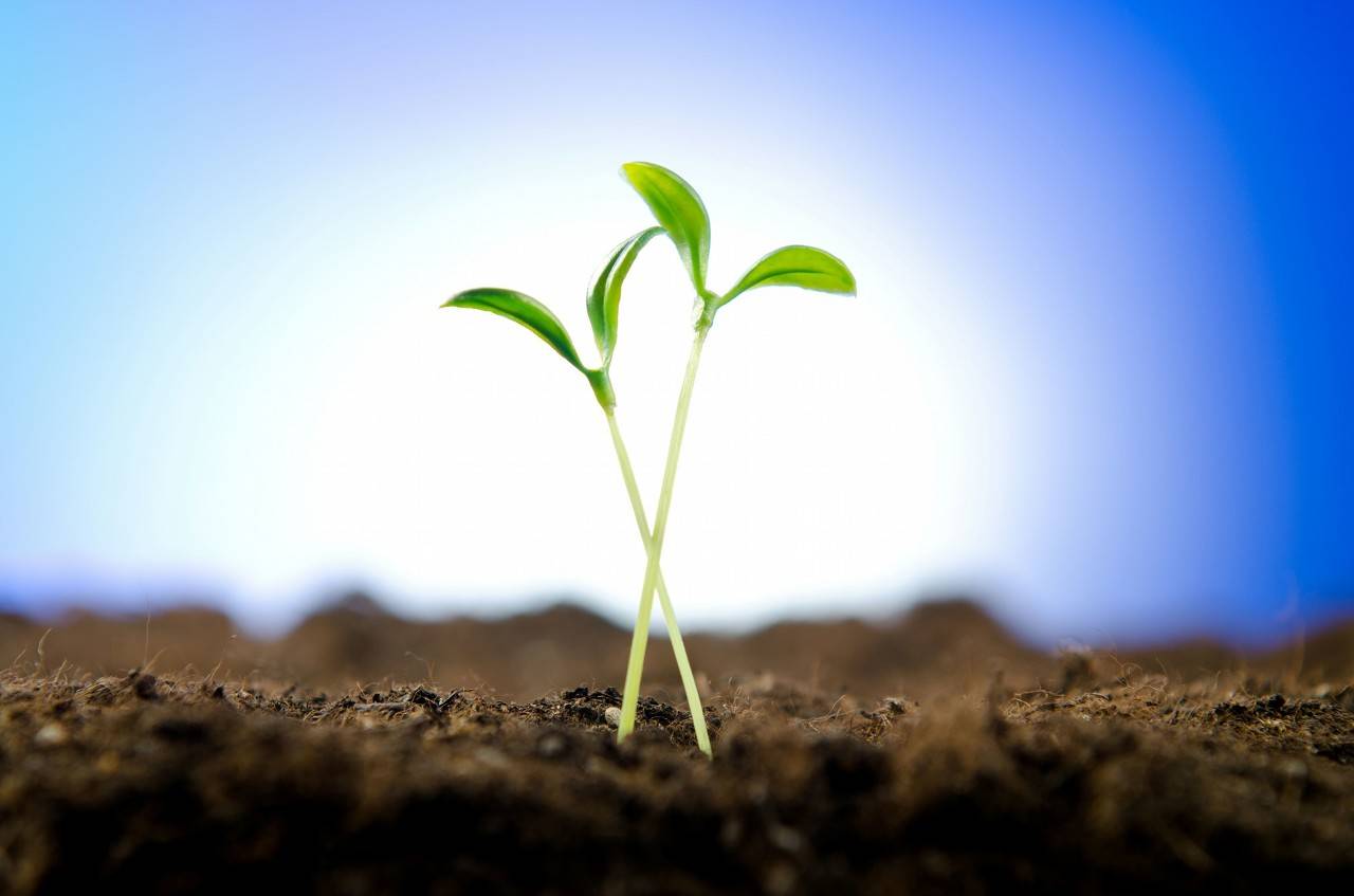 去中心化支付协议Celo完成2000万美元融资，A16z参投