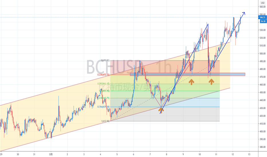 【罗尼的解决方案】——2021年2月12日——比特币春节重启，价值4.8万美元！