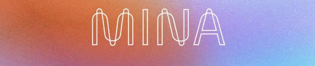 2021年十大最具潜力叠加网络调查1