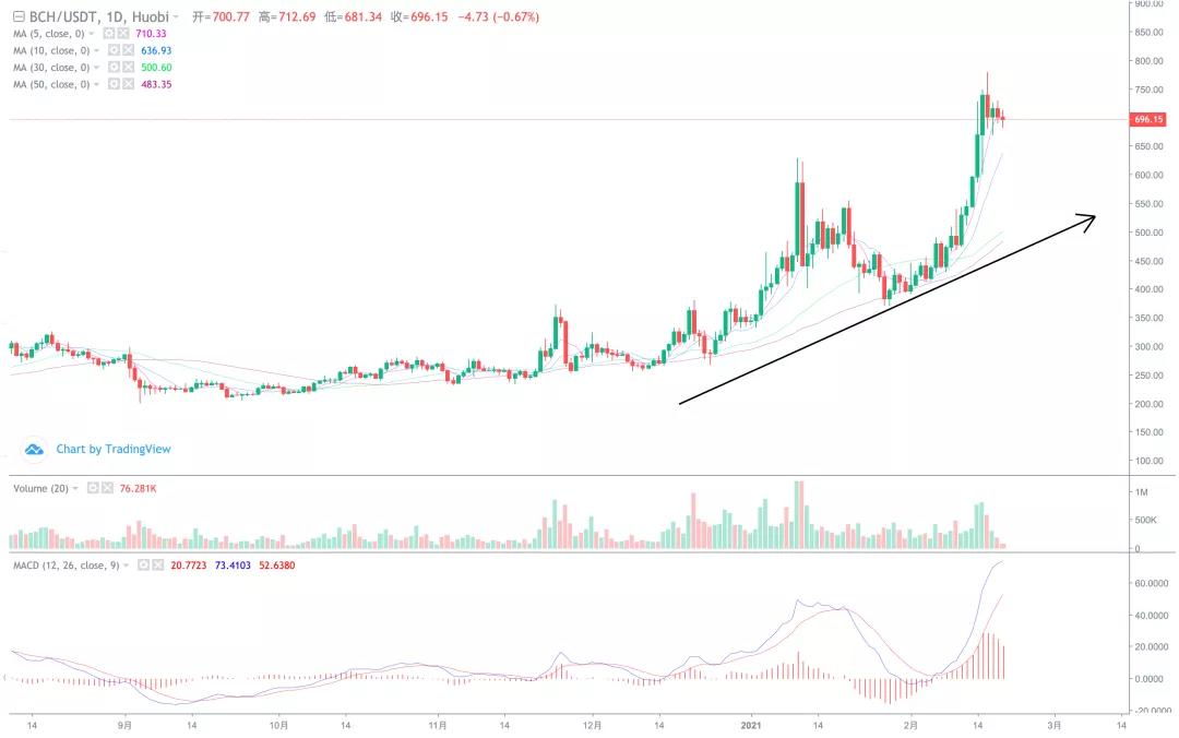 大块头疯了吗？比特币有望升至50万美元一枚！2
