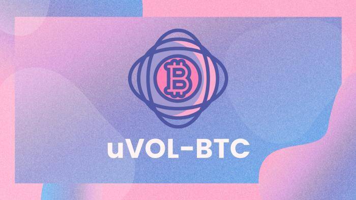 Uvol：一种可以交易比特币波动性的代币