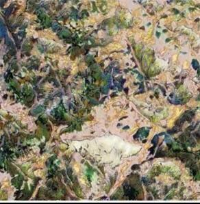 让我们带着你的助教一起欣赏数字艺术14 让我们带着你的助教一起欣赏数字艺术14