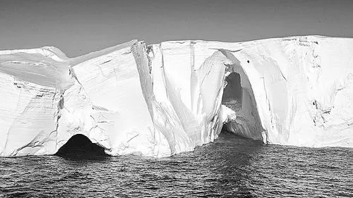 巴比特专栏 | 比特币正在成为一头灰犀牛吗？3