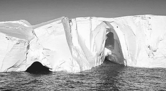 比特币正在变成一头灰犀牛吗？3