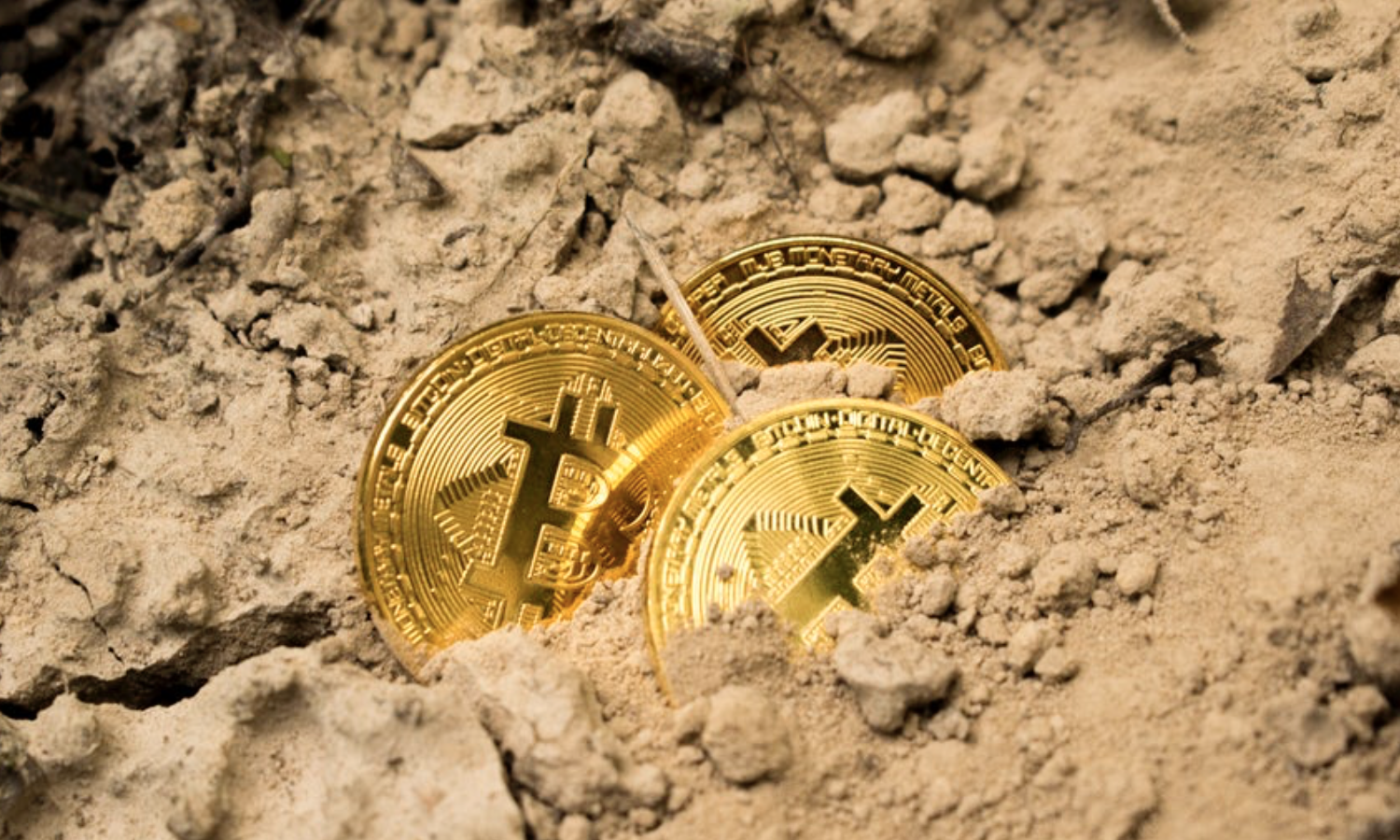 花旗银行最新报告：比特币可能会成为“国际贸易货币”，正站在转折点