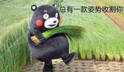 火币河科成为“土狗”工程的重灾区,一波“挖矿”收获无数韭菜 火币河科成为“土狗”工程的重灾区,一波“挖矿”收获无数韭菜