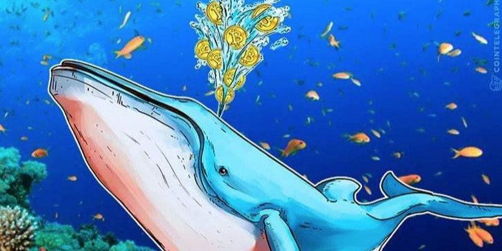 开启新一波财富密码!我们最近注册了四个新的信托基金:GRT、flow、RSR和NMR 开启新一波财富密码!我们最近注册了四个新的信托基金:GRT、flow、RSR和NMR