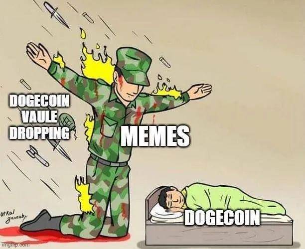 模因正在改变投资的逻辑：为什么狗币曾经是一个有价值的笑话？1