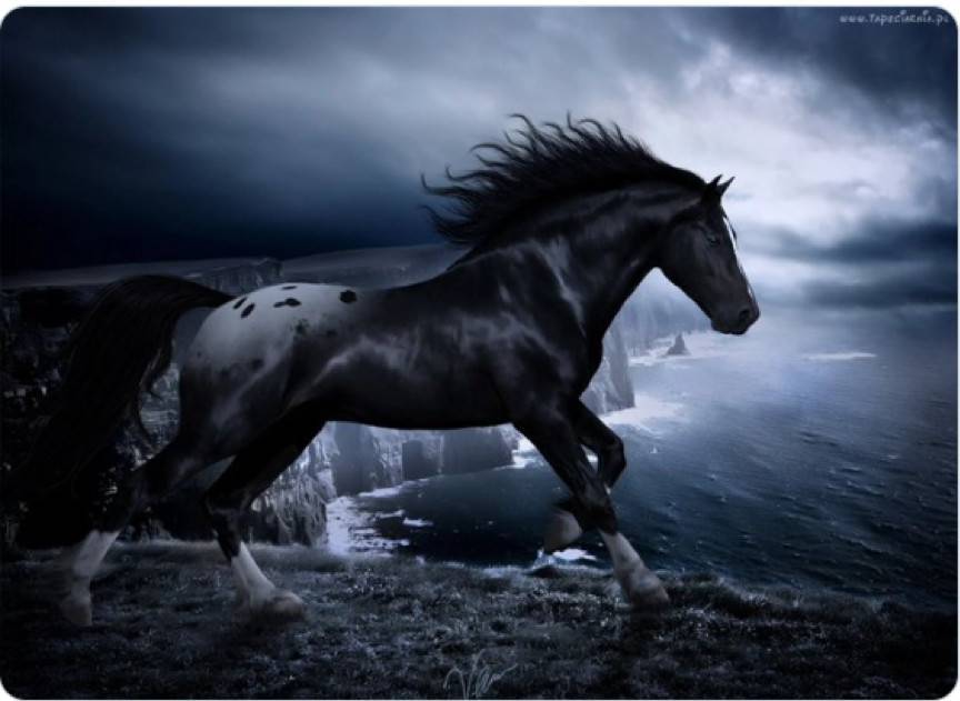 为什么说 Bancor 可能会是 DEX 赛道被低估的黑马？10