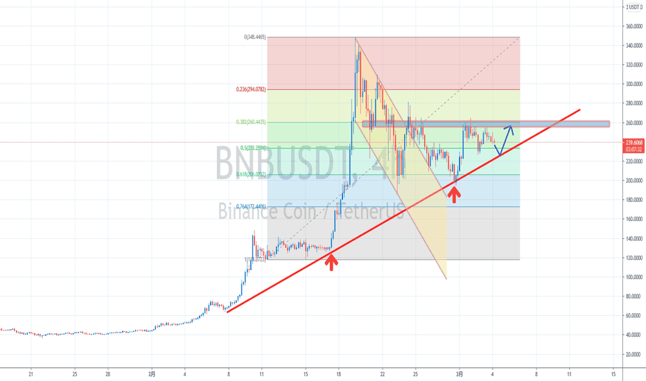 【罗尼的解决方案】-2021.03.04——比特币再次繁荣，5.2万能阻挡吗？