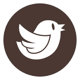 NFT生态底线：最值得关注的项目在这里29