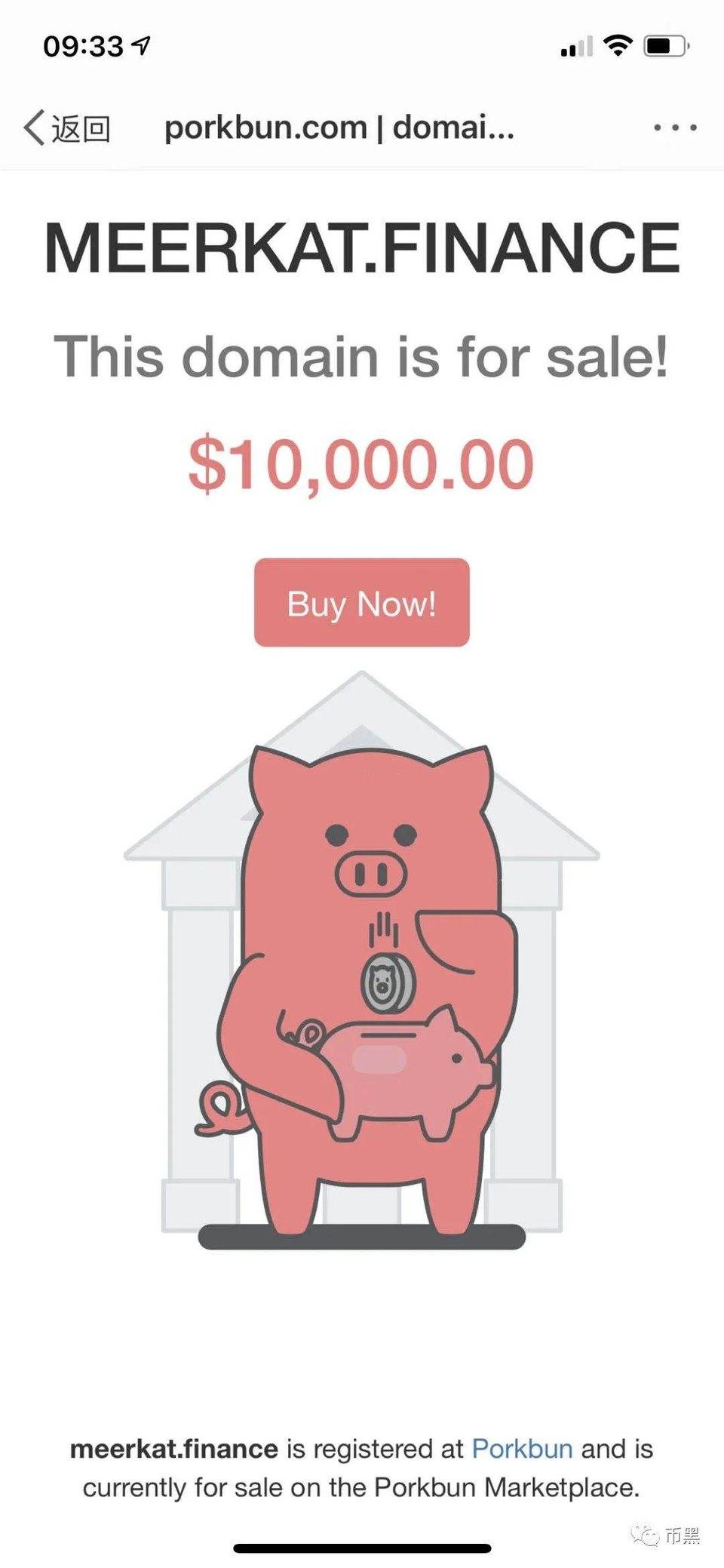 [震惊]元安矿业项目启动仅一天，就损失了20多亿元，投资者因矿难自杀！15