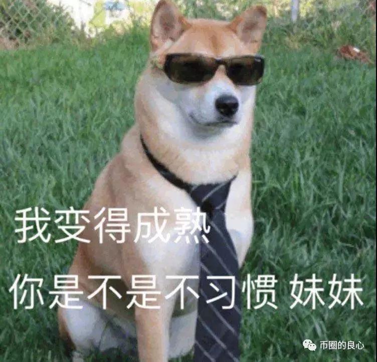 你选哪个,戒指还是硬币戒指?4 你选哪个,戒指还是硬币戒指?4