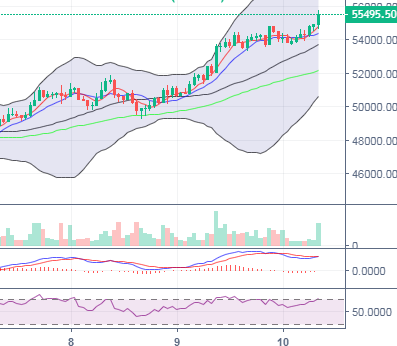丁家勇：比特币价格未来有望达到56800