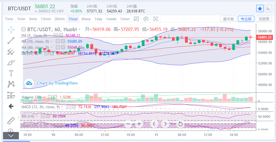 陈楚楚：比特币会反弹并上升3006万吗？