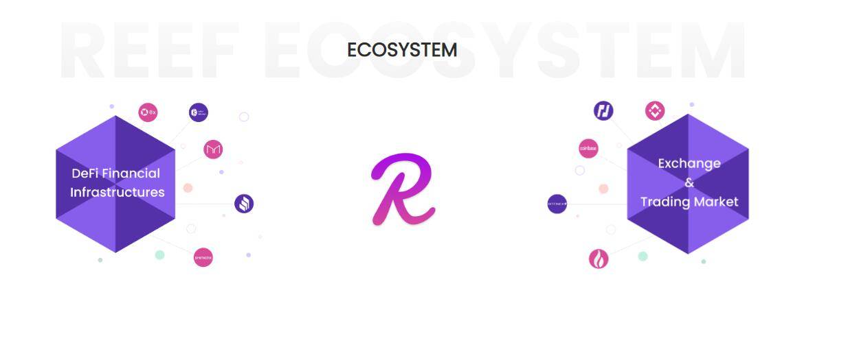 波卡DeFi项目Reef Finance筹集2000万美元 Alameda Research是唯一投资者1