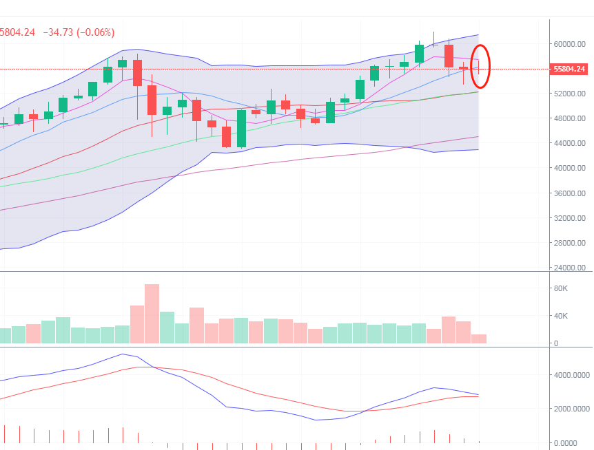 段义华：在比特币的筹备阶段，今天和明天之后还会有一个大的市场2