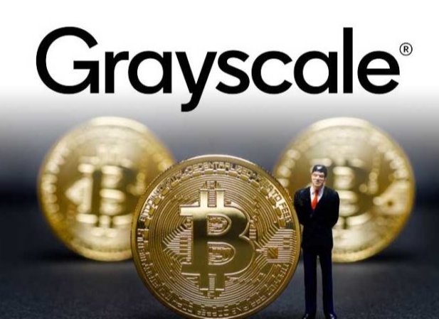 美国银行报告：比特币最大的公共持有者是灰度