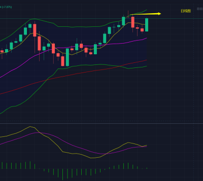 诸葛论币：操作策略千百种，到底哪家更适合？1