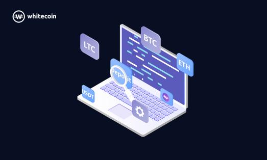 稳步积累！白币会是下千次吗？8