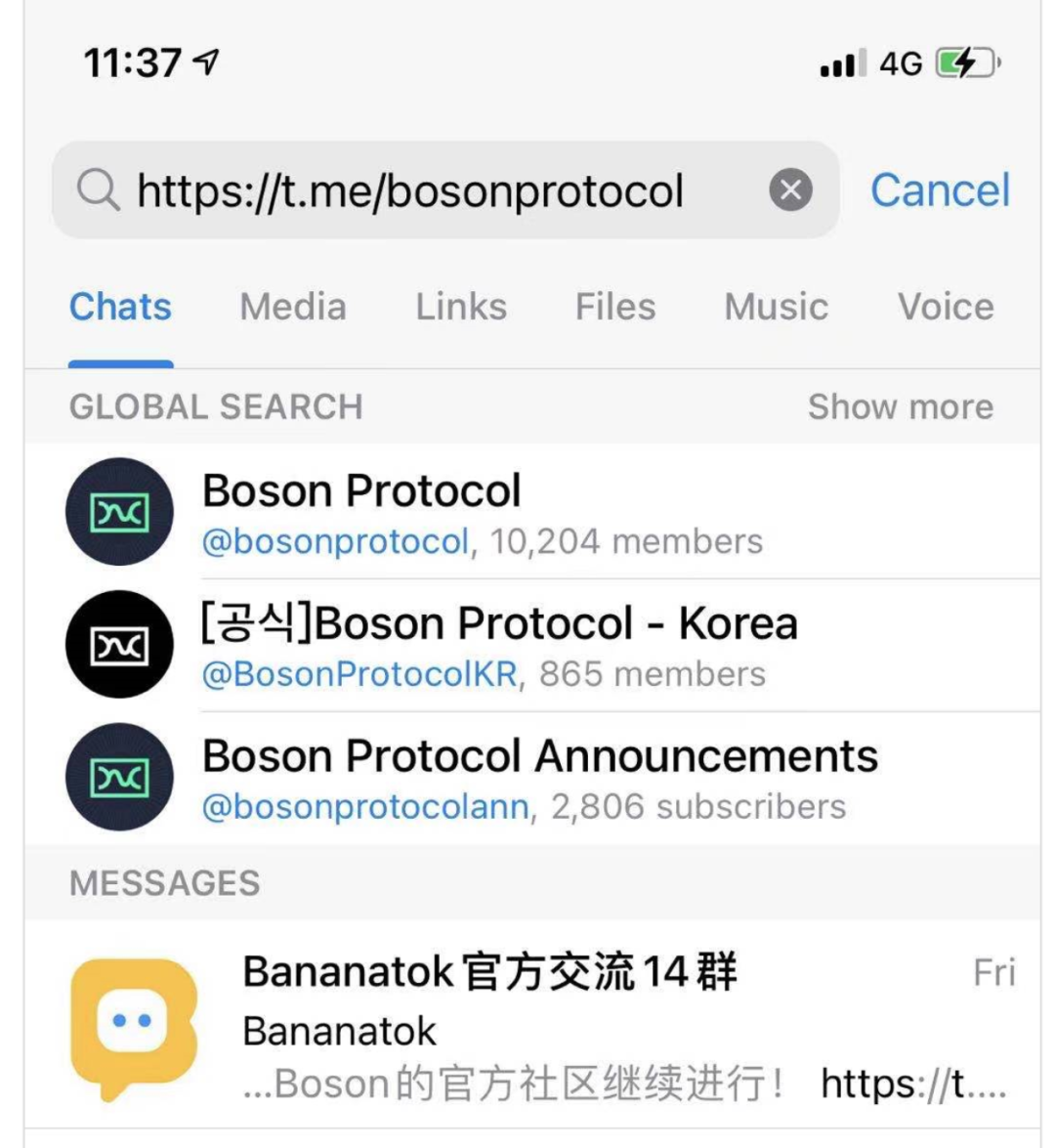 预售超过认购40倍！理解玻色子协议17