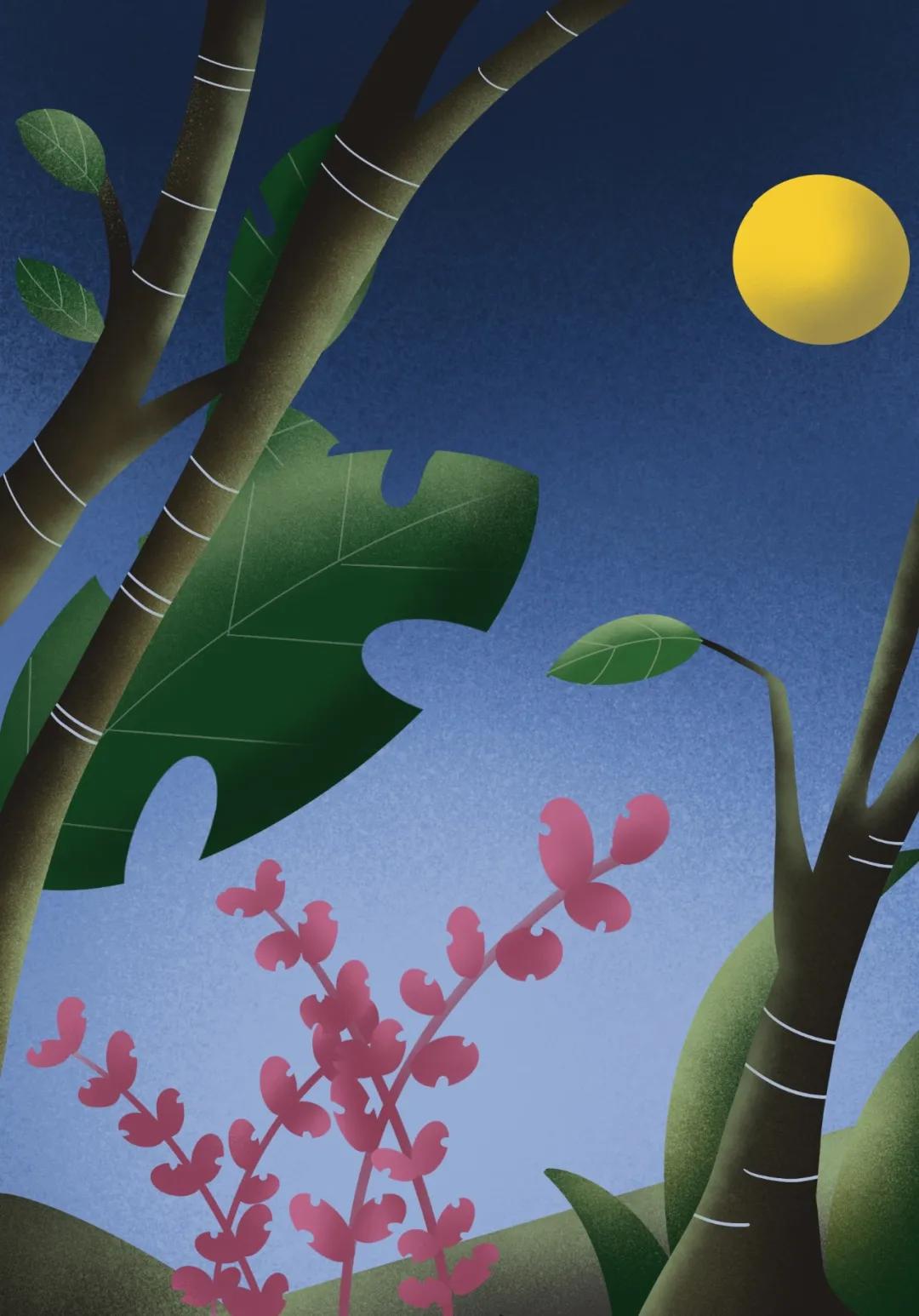 我试着卖一本NFT的“杰作”,结果发现世界上没有钱可赚24 我试着卖一本NFT的“杰作”,结果发现世界上没有钱可赚24