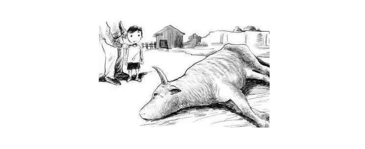 巴比特观察丨暴跌5000刀！爆仓过百亿！你选择“割肉”、“躺倒”还是“继续冲”？3