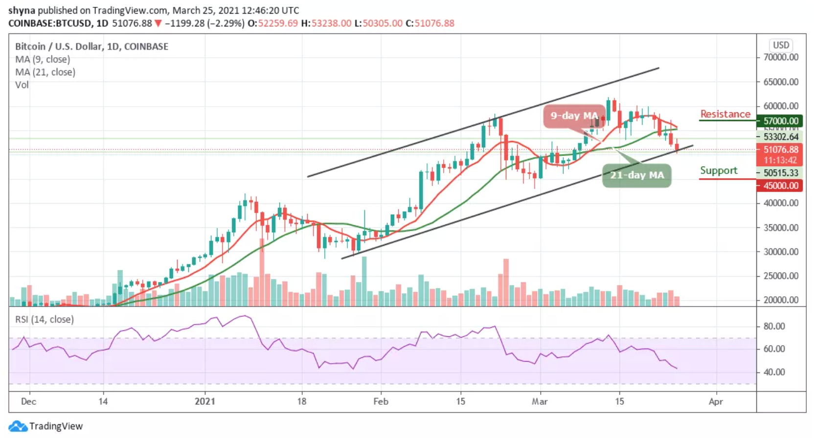 比特币或将跌至5万美元，但期权市场对其四月走势仍看好