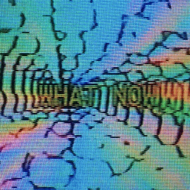 艺术从业者的经验：NFT热潮会改变艺术世界吗？11