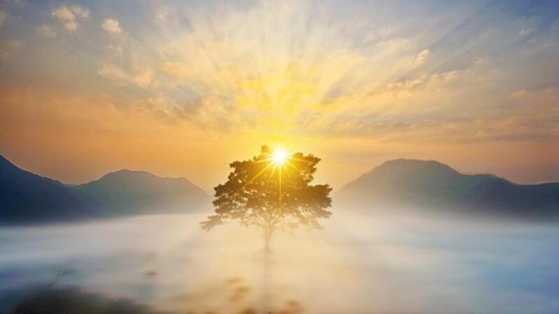 近6万美元的比特币仍然让一些人无法理解,历史的车轮从未停止 近6万美元的比特币仍然让一些人无法理解,历史的车轮从未停止