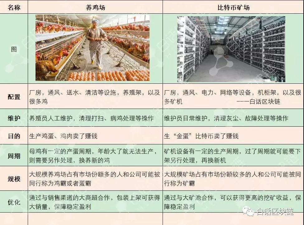 312过去一年多了，比特币还是巴菲特口中的”老鼠药”么？1