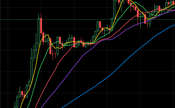为什么不到半年时间fil又流行起来了？