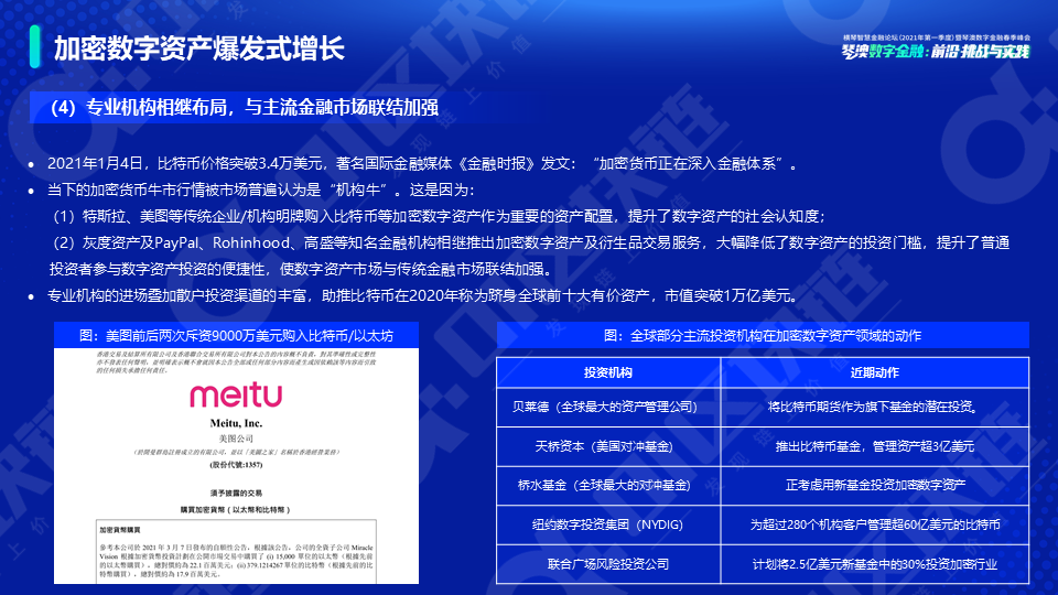 新势力崛起——全球数字资产研究报告（2021）11