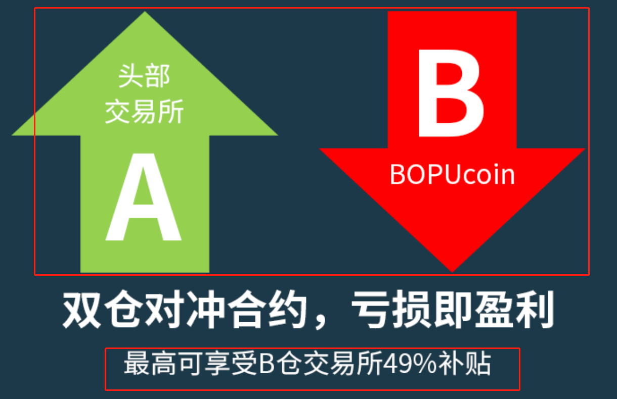 “BOPU波普对冲合约”项目跑路，服务器被关，维权路漫漫！3