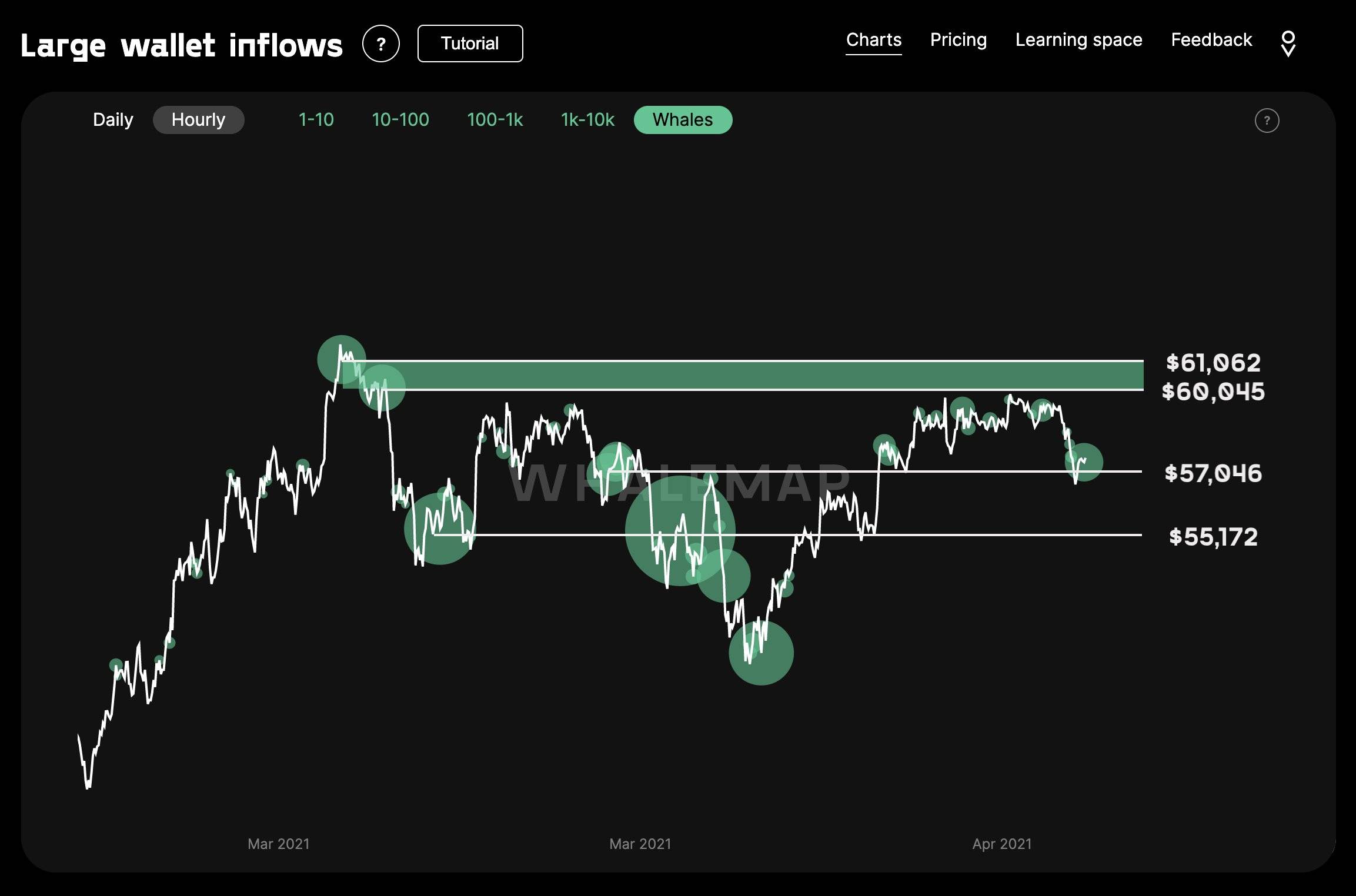 鲸鱼集群分析丨比特币正处于暴风雨来临前的平静1