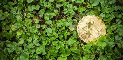 《自然》报道称，到2024年，中国比特币开采的碳排放量将达到1.3050亿吨