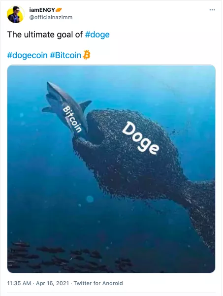 金成论币：在海外韭菜眼中，狗狗币才是真正的「比特币」1