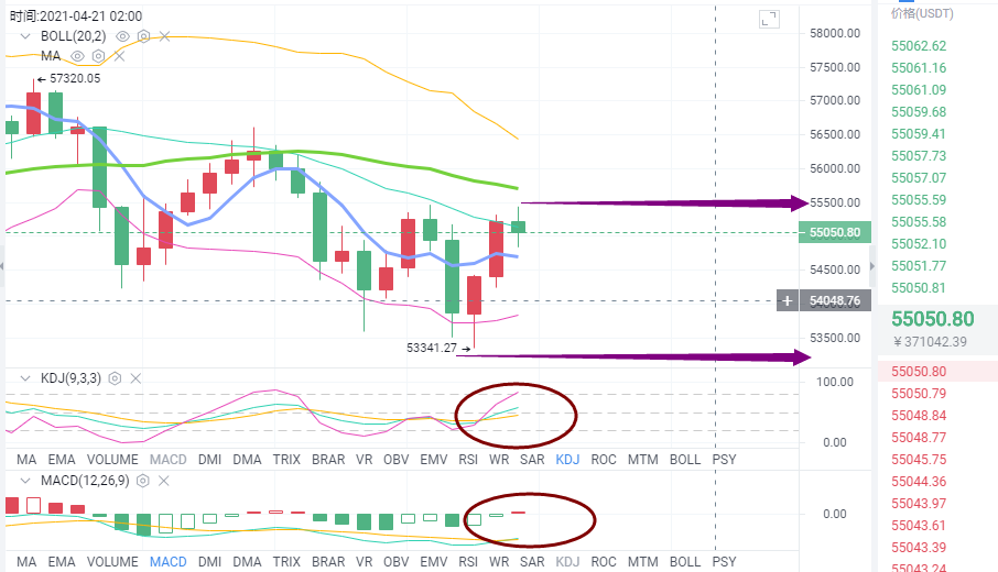 币海引路人：4月20号BTC晚间行情解析
