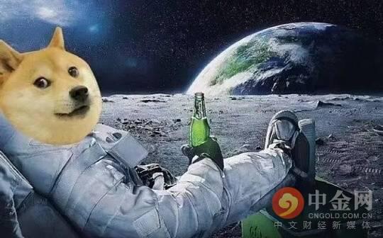 今年的狗币值得长期拥有吗？4