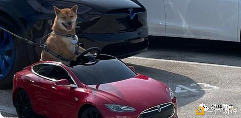 数一数持有大量比特币的金融机构和公司5