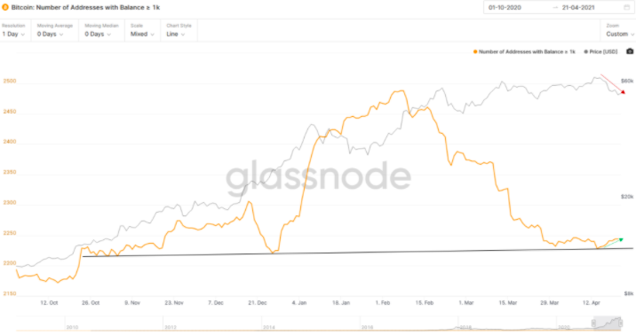 熊市预警！市场指标表明，比特币牛市或已见顶1