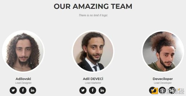 首发 | 避免项目方欺诈之如何准确辨别项目背景5