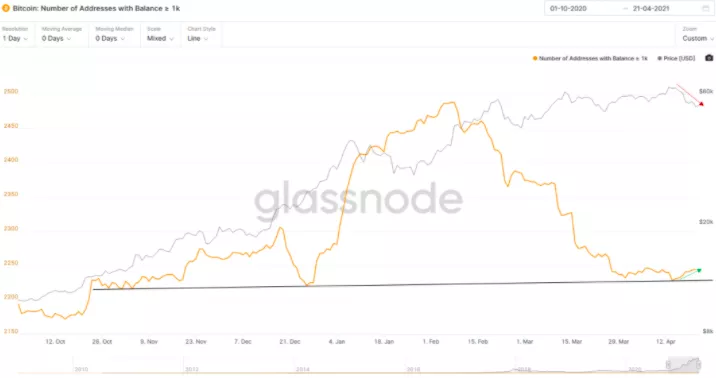 熊市警告！市场指标显示，比特币牛市可能已经见顶1