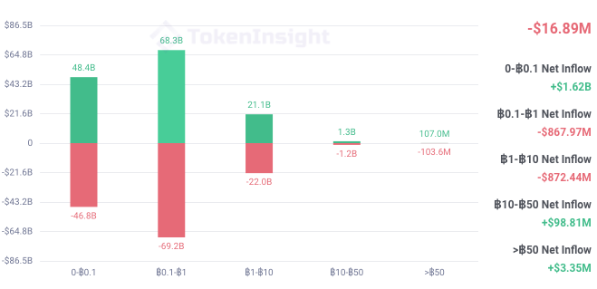市场观察：波动与反波动 | Blofin2