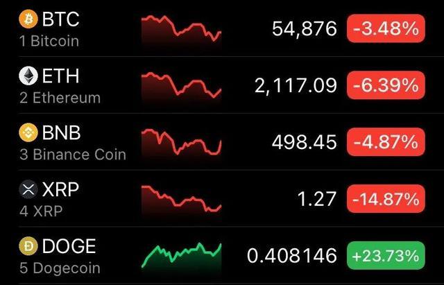 狗币收获无数财富,但你不知道它是什么1 狗币收获无数财富,但你不知道它是什么1