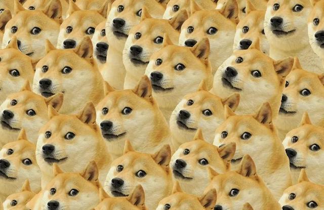 狗币收获无数财富,但你不知道它是什么2 狗币收获无数财富,但你不知道它是什么2