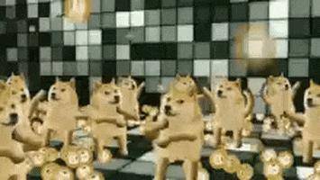 狗币的兴起：四年2100次？幼犬生活五大亮点1