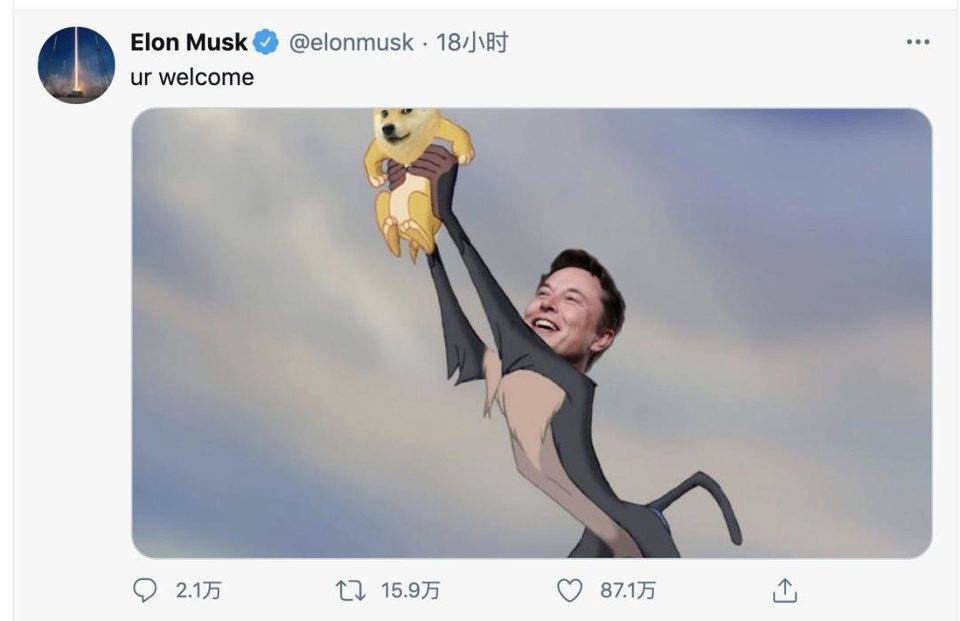 狗币的兴起：四年2100次？幼犬生活五大亮点7